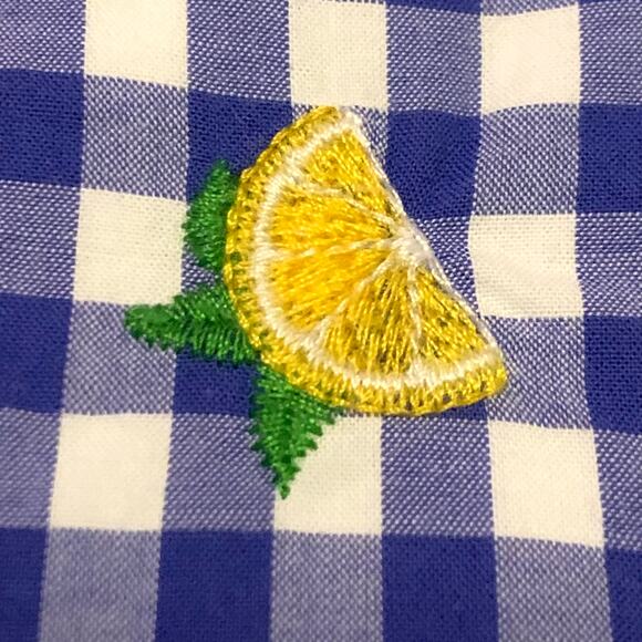 Talbots Womens Dress 22W Sleeveless Blue White Gingham Embroidered Lemons Lined - Picture 5 of 16